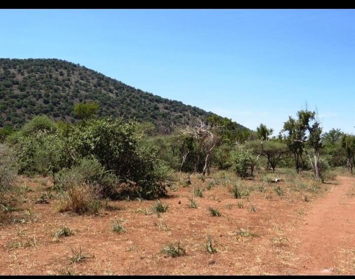Commercial Property for Sale in Brits North West